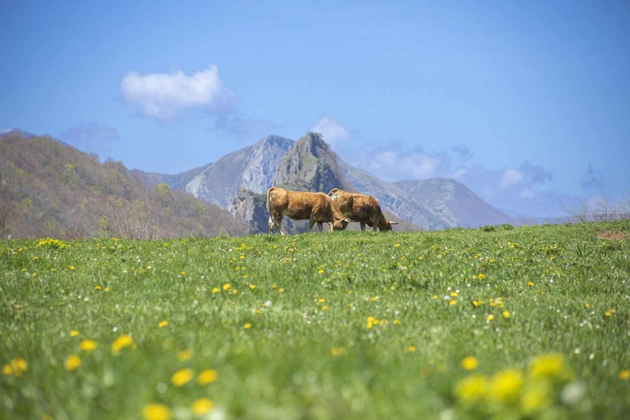 BimenesCasa Noval Zona Rural En El Centro De Asturiasアパートメント エクステリア 写真